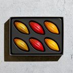 【KINEEL】【Marijn coertjens】カカオツリー 2022 6個入 │ ベルギーよりお届けする限定チョコレート │ 1