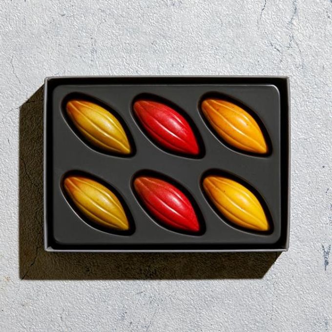 【KINEEL】【Marijn coertjens】カカオツリー 2022 6個入 │ ベルギーよりお届けする限定チョコレート │ 1