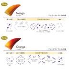 【KINEEL】【Marijn coertjens】トゥーカン 2022 12個入 │ ベルギーよりお届けする限定チョコレート │ 4