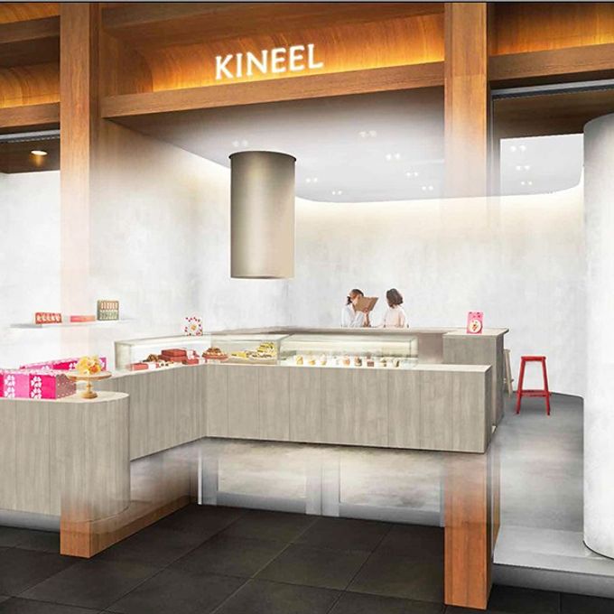 【KINEEL】anフィナンシェ6個入（抹茶）:91506 母の日のギフト・プレゼント2025 5