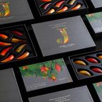 【KINEEL】【Marijn coertjens】カカオツリー 2022 6個入 │ ベルギーよりお届けする限定チョコレート │ 3