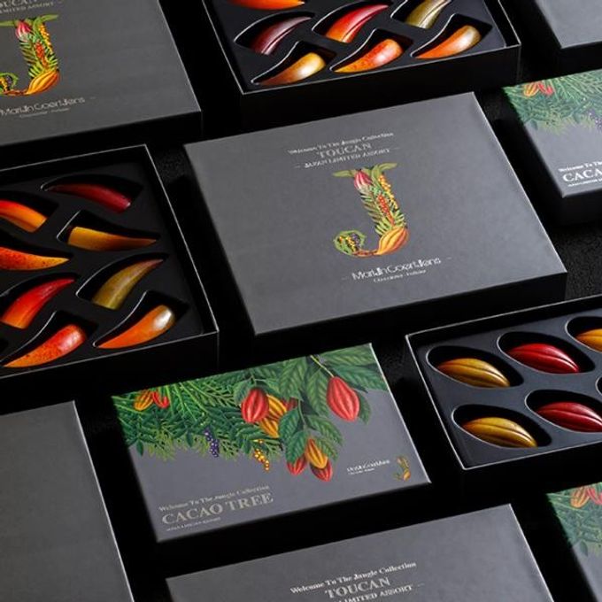 【KINEEL】【Marijn coertjens】カカオツリー 2022 6個入 │ ベルギーよりお届けする限定チョコレート │ 3