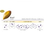 【KINEEL】【Marijn coertjens】カカオツリー 2022 6個入 │ ベルギーよりお届けする限定チョコレート │ 4