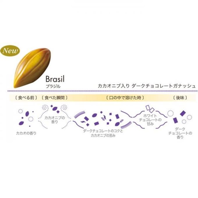 【KINEEL】【Marijn coertjens】カカオツリー 2022 6個入 │ ベルギーよりお届けする限定チョコレート │ 4