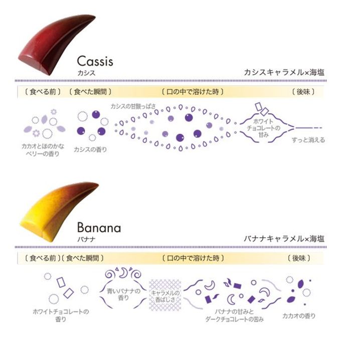 【KINEEL】【Marijn coertjens】トゥーカン 2022 12個入 │ ベルギーよりお届けする限定チョコレート │ 6