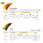 【KINEEL】【Marijn coertjens】トゥーカン 2022 12個入 │ ベルギーよりお届けする限定チョコレート │ 5