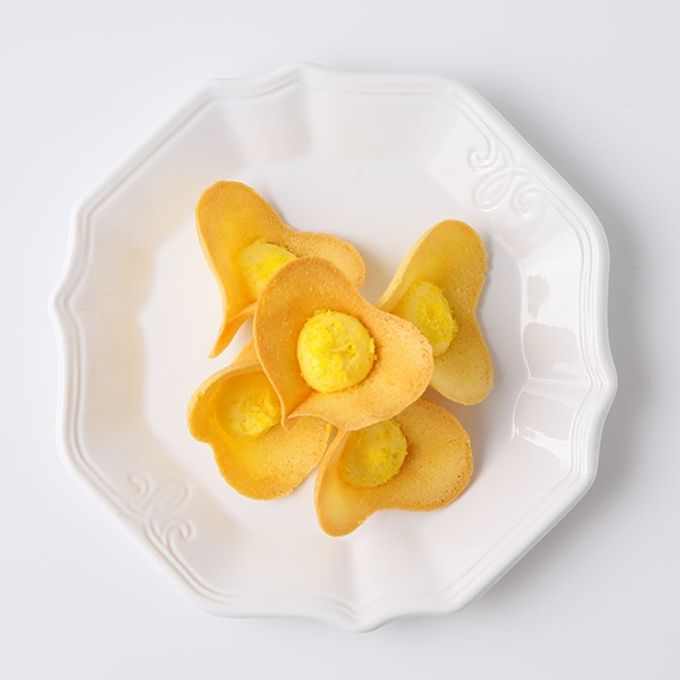 【KINEEL】ルフル・レモンココナッツ（8個入）/ 京都からお届け♪お花の形のかわいいラングドシャスイーツ（焼菓子8個セット） 2