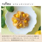 【KINEEL】 Gift Box（Summer）M / 人気の焼菓子詰合せ 夏季限定 4