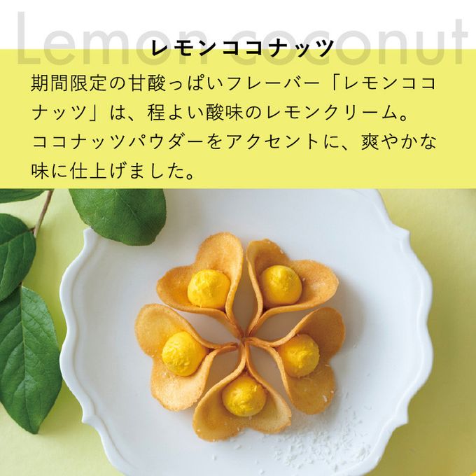 【KINEEL】ルフル・レモンココナッツ（8個入）/ 京都からお届け♪お花の形のかわいいラングドシャスイーツ（焼菓子8個セット） 3
