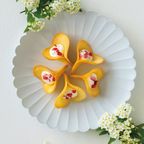 【KINEEL】ルフル バニラ（30個入）京都からお届け♪お花の形のかわいいラングドシャスイーツ  4