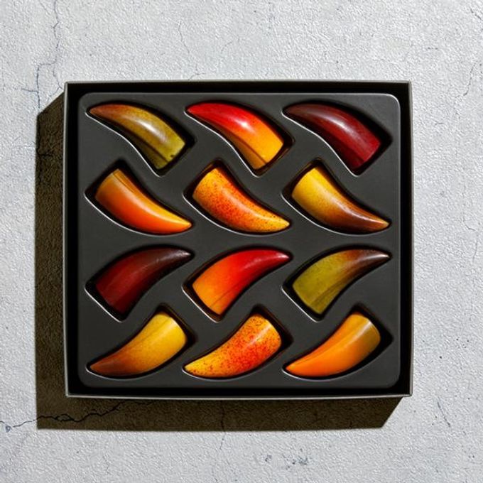 【KINEEL】【Marijn coertjens】トゥーカン 2022 12個入 │ ベルギーよりお届けする限定チョコレート │ 1