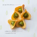 【KINEEL】ルフル・抹茶（8個入）/ 京都からお届け♪お花の形のかわいいラングドシャスイーツ（焼菓子8個セット） 母の日のギフト・プレゼント2025 3