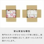 【KINEEL】シフォンケーキ（ベリーミックス） 7