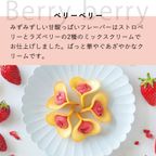 【KINEEL】 Gift Box M（Spring） / 人気の焼菓子詰合せ 季節限定  5