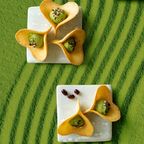 【KINEEL】ルフル・抹茶（8個入）/ 京都からお届け♪お花の形のかわいいラングドシャスイーツ（焼菓子8個セット） 母の日のギフト・プレゼント2025 1