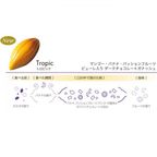 【KINEEL】【Marijn coertjens】カカオツリー 2022 6個入 │ ベルギーよりお届けする限定チョコレート │ 6