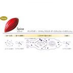 【KINEEL】【Marijn coertjens】カカオツリー 2022 6個入 │ ベルギーよりお届けする限定チョコレート │ 5