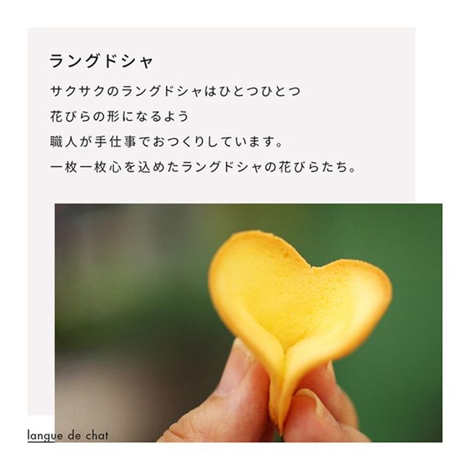 【KINEEL】ルフル8個入（バニラ）/ 京都からお届け♪お花の形のかわいいラングドシャスイーツ（焼菓子8個セット） 母の日2024  4