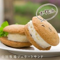 山田サン（山田牧場ジェラートサンド）