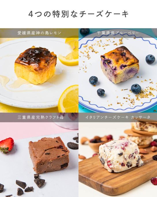 旅するチーズケーキ 人気商品詰め合わせセット 3