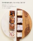 旅するチーズケーキ 人気商品詰め合わせセット 2