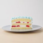スマッシュケーキ色が選べるBOY☆豆乳ヨーグルトクリーム 4号 4