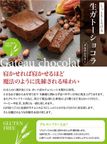 ≪送料無料≫グルテンフリー 訳ありガトーショコラ「アウトレット」3本セット 600ｇ チョコレートな関係 3