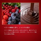 ノエル・ルージュ~ベリー×ショコラの華やぎ~ 10cm チョコレートな関係 クリスマス2025 4