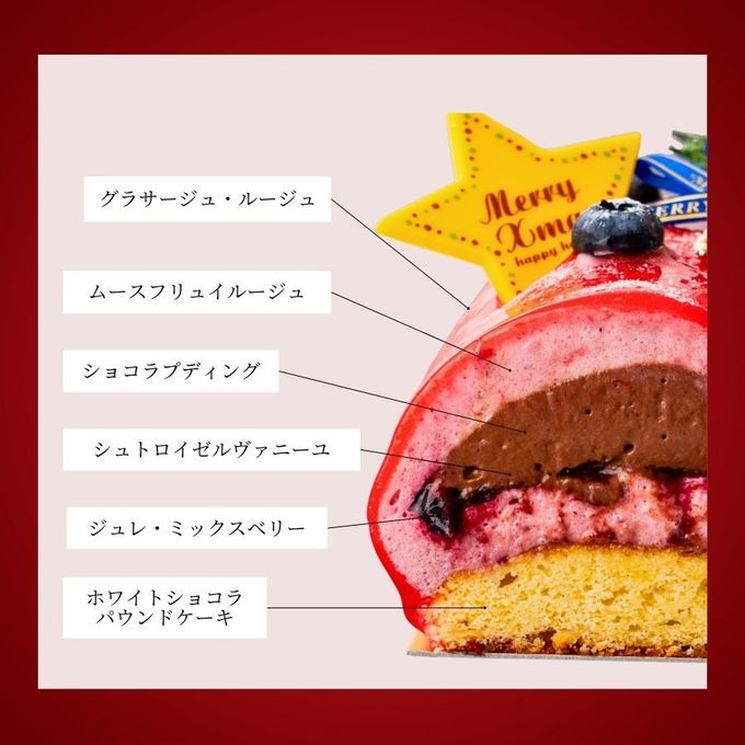 ノエル・ルージュ~ベリー×ショコラの華やぎ~ 10cm チョコレートな関係 クリスマス2025 5