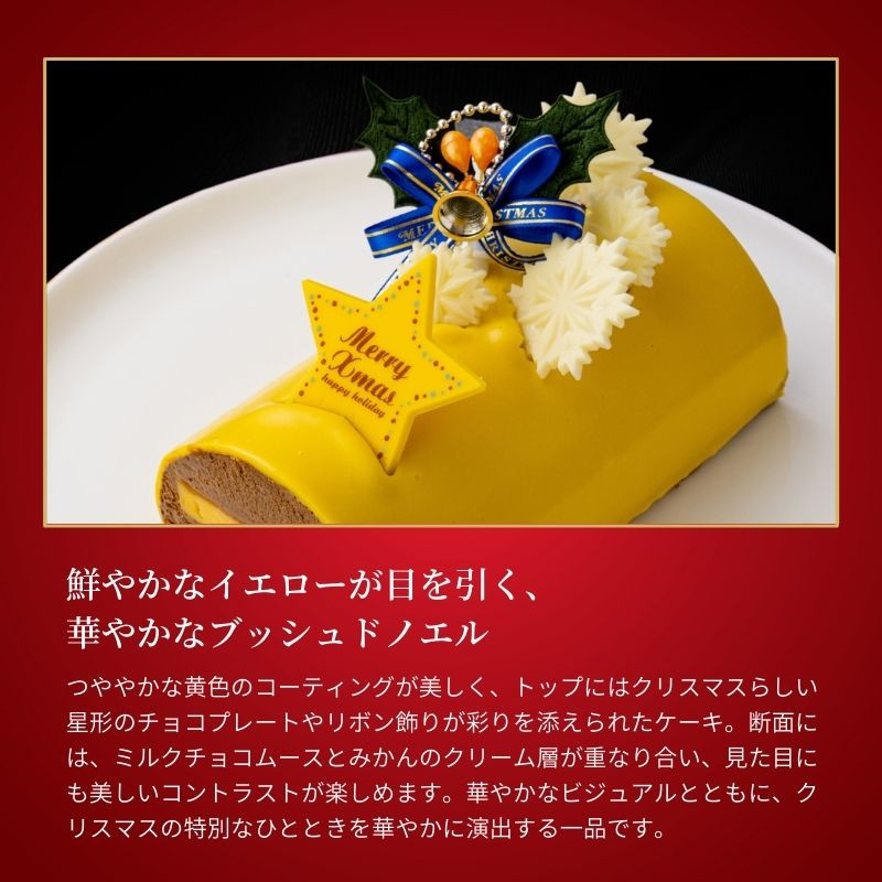【第二弾✴︎クリスマス特別限定品①】黄金エネルギー入りお抹茶と濃厚ショコラのケーキ ブッシュ・ド・ノエル・デュオ 抹茶＆星空 チョコレートな関係