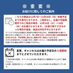 ノエル・デュオ 1 ~トリュフカカオ&ブッシュドノエル・ジャポネ チョコレートな関係 クリスマス2025 10