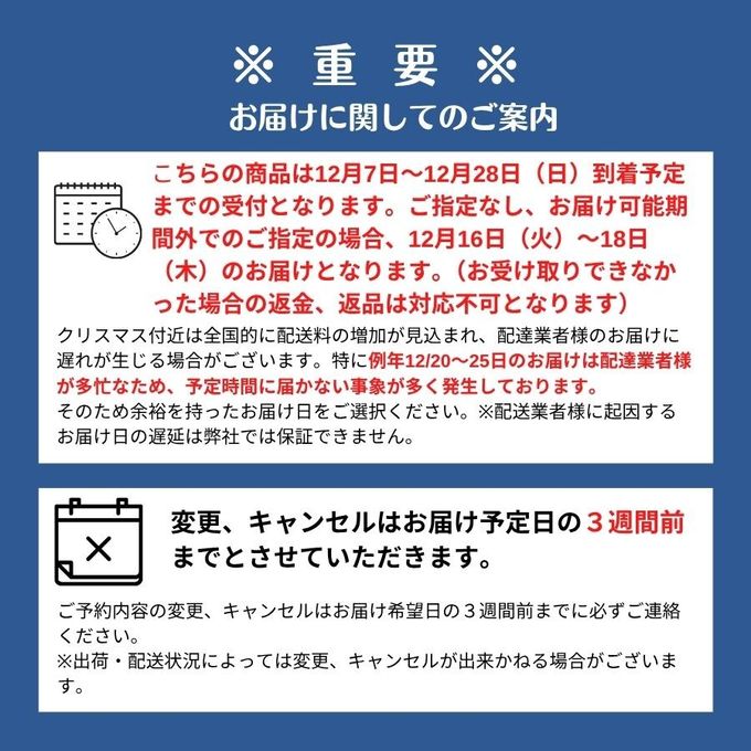 ノエル・デュオ 1 ~トリュフカカオ&ブッシュドノエル・ジャポネ チョコレートな関係 クリスマス2025 10