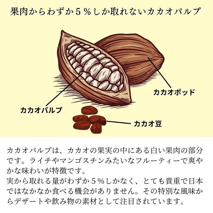 カカオフルーツゼリー5種10個セット  4