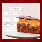 ノエル・デュオ 1 ~トリュフカカオ&ブッシュドノエル・ジャポネ チョコレートな関係 クリスマス2025 4