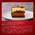 カカオの贅沢クリスマスケーキ 5号 15cm チョコレートな関係 クリスマス2024 3