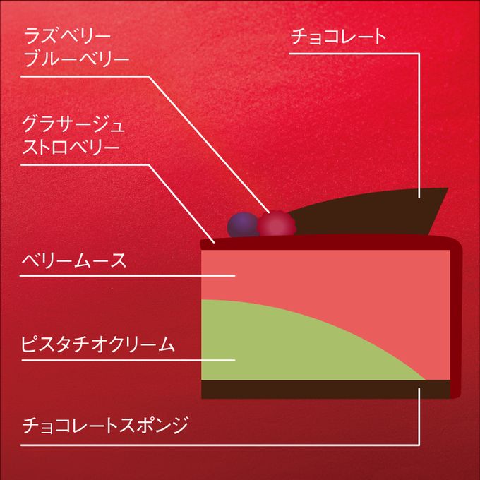 【イタリアントマト】ベリールージュ（キャンドル付き） 4号（12cm）  2