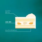 クリスマスお家デコレーションケーキクリーム（キャンドル付き） 5号（15cm）クリスマスケーキ2026 3