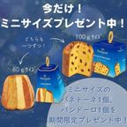 【イタリア直送】伝統クリスマス菓子”パネトーネ” クリスマス 2024 4