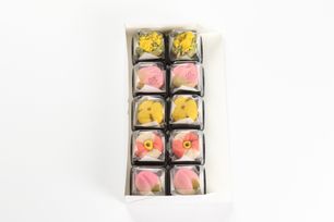 季節の上生菓子 10個入り