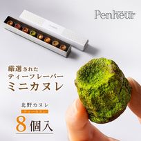 009/ 厳選!!ティーカヌレ （8種8個入）神戸【Penheur〜プノール〜】  