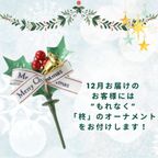 【不二家】クリスマス 糖質オフホワイトチョコ生ケーキ 5号 14.5cm  6