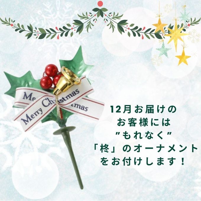 【不二家】クリスマス 糖質オフチョコ生ケーキ 5号 14.5cm  7
