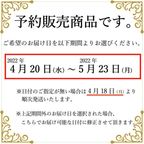 スケジュール 5
