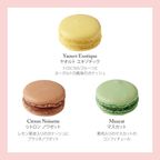 【セバスチャン・ブイエ】マカロン 12個  5