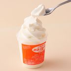 《北海道赤井川山中牧場低温殺菌牛乳使用 札幌商工会議所北のブランド2024認証品》バニラソフトクリーム 10個セット 6