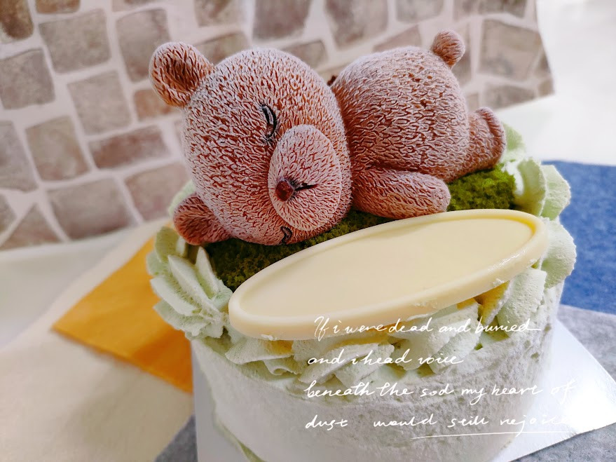  ケーキ型ぬいぐるみ ホールケーキでアニマルズ抹茶 4号 （藤田菓子舗） | Cake.jp