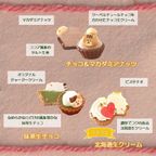 【祝！誕生日】ねこみにタルトセット 9個入 冬バージョン 4