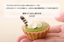 【ホワイトデー限定】ねこみにタルトセット 9個入  10