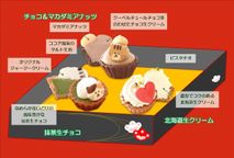 【祝！誕生日】ねこみにタルトセット 9個入 冬フレーバー 5