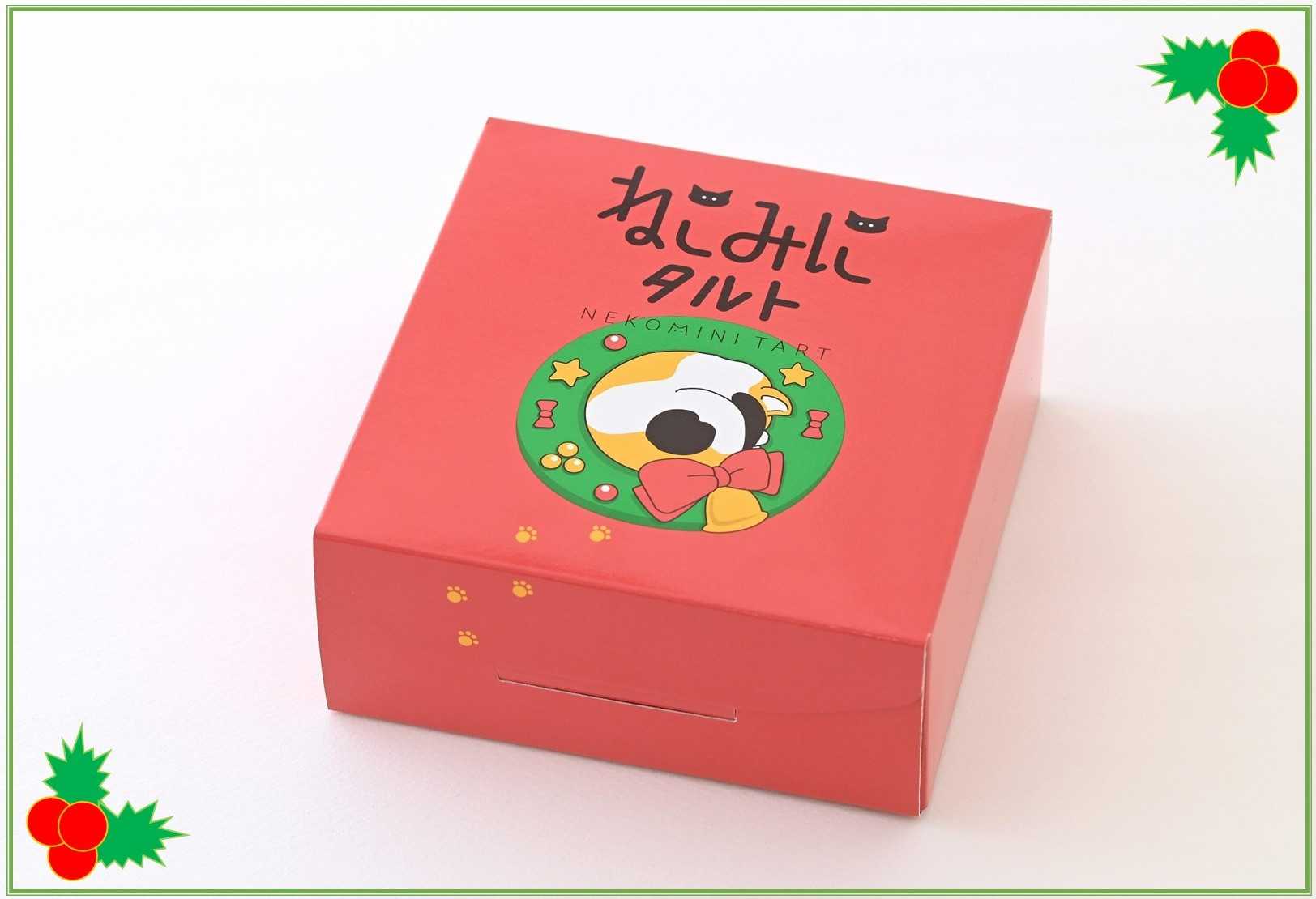 クリスマス限定】ねこみにタルトセット 9個入 クリスマス2025